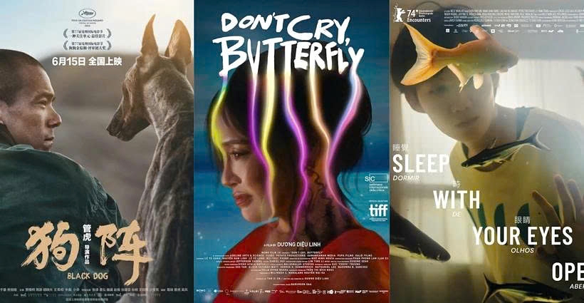 Black Dog; Don't Cry, Butterfly; and Sleep with Your Eyes Open will be screened at the third Da Nang Asian Film Festival - DANAFF 2025. (Photo: VNA)
