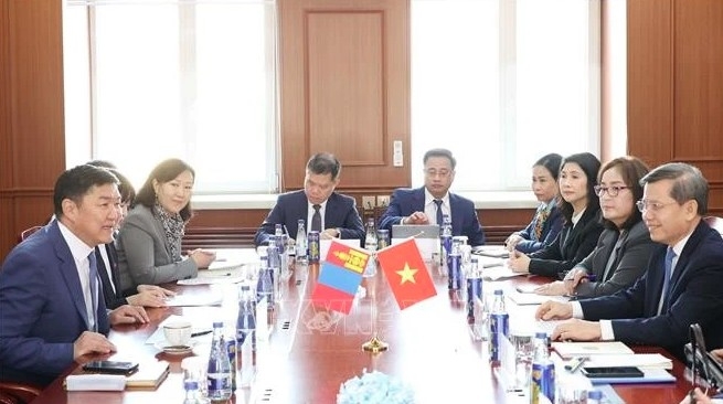 The talks between the Supreme People’s Court of Vietnam delegation and the Mongolian Chief Justice Ganzorig Damdin (Photo: VNA)