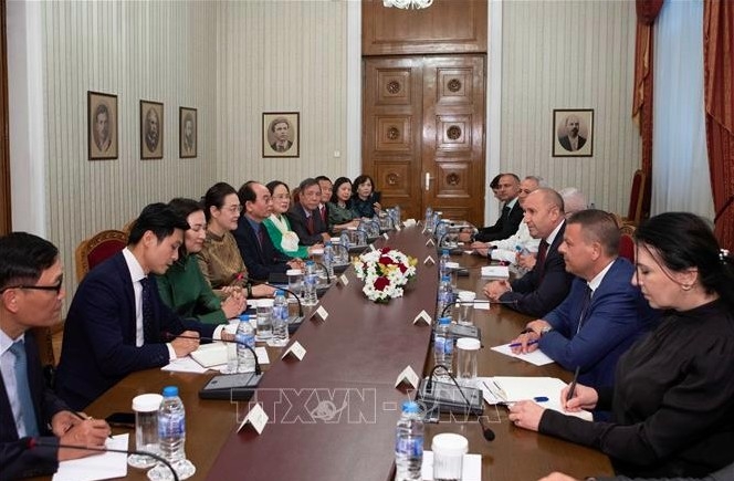 At the meeting between the Vietnam–Bulgaria Friendship Association delegation and Bulgarian President Rumen Radev. (Photo: VNA)