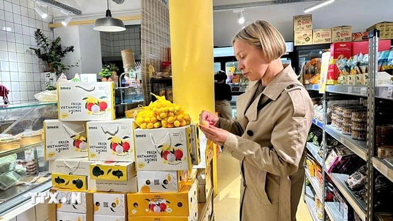 Vietnam's fresh lychees for the 2025 season hit Vietnam-France supermarket shelf. (Photo: VNA)
