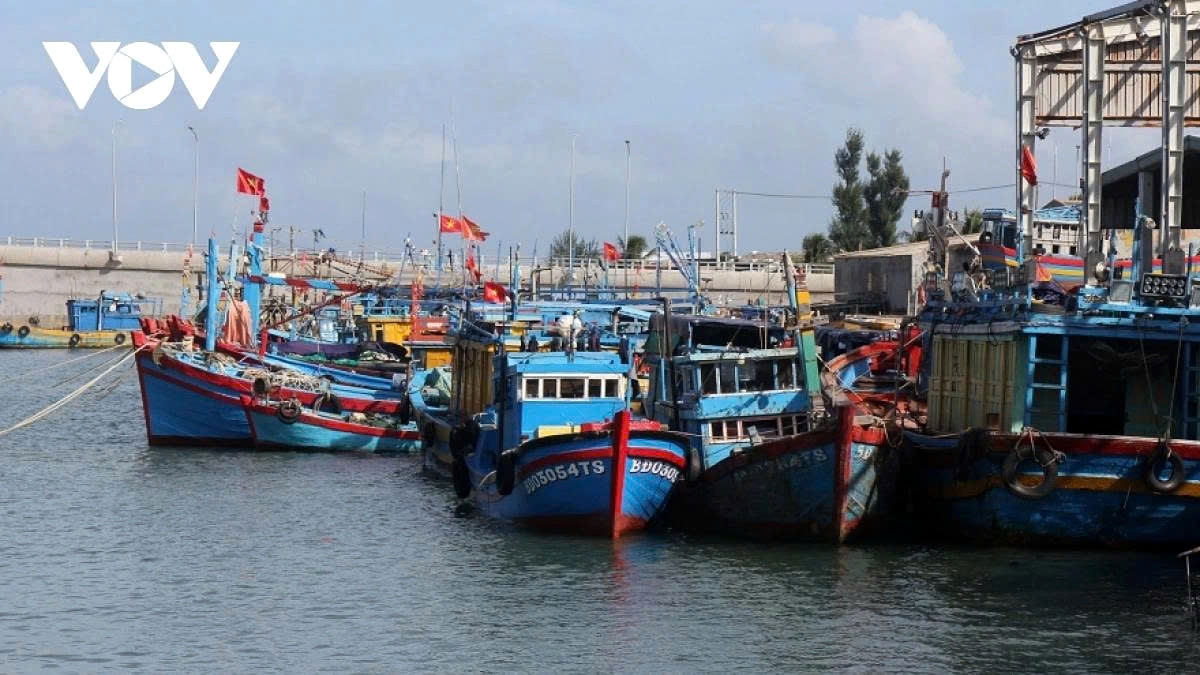 Fishing vessels are anchored at De Gi fishing port in Binh Dinh province