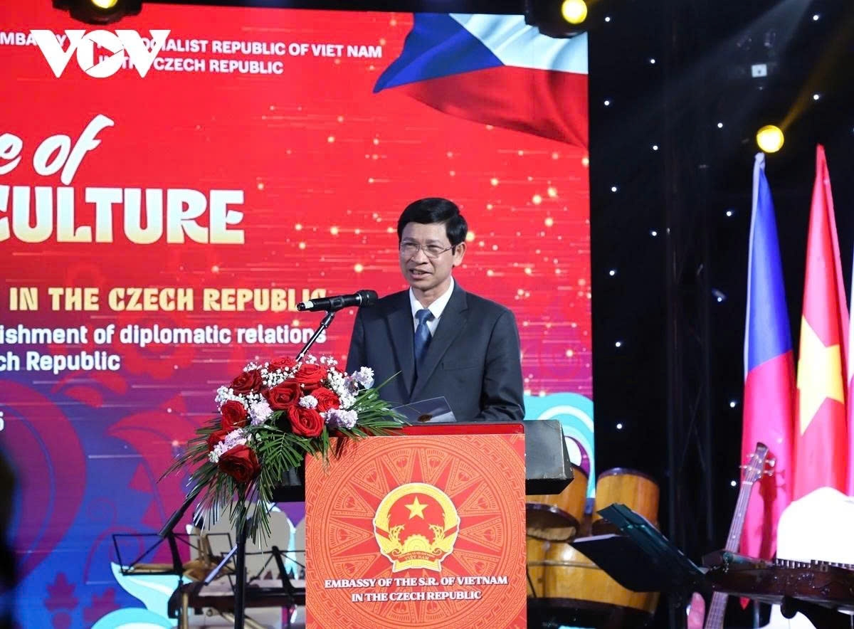 Deputy Minister of Culture, Sports and Tourism Ho An Phong speaks at the event.