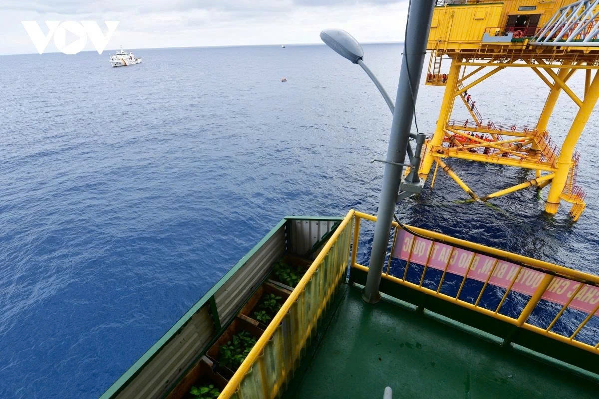 Despite harsh and windy conditions, officers and soldiers on the platform cultivate green vegetable gardens amid the sea and sky to supplement their daily meals.