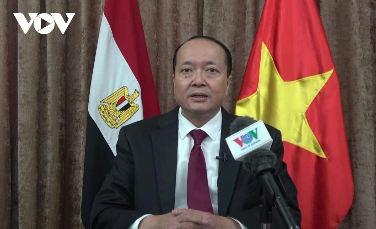 Vietnamese Ambassador to Egypt Nguyen Huy Dung