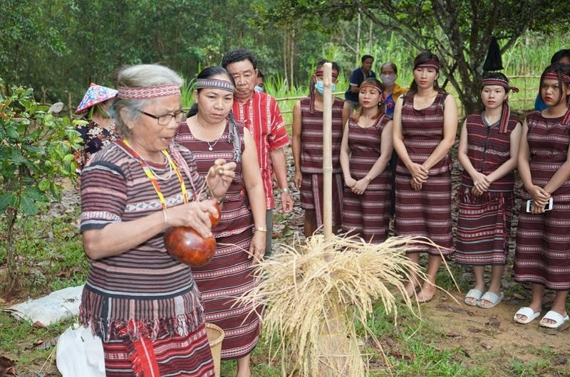 The Sayangva Festival, a ritual worshipping the Rice God, in Dong Nai province is one of 11 new elements recognised as National Intangible Cultural Heritage. (Photo: hanoimoi.vn)