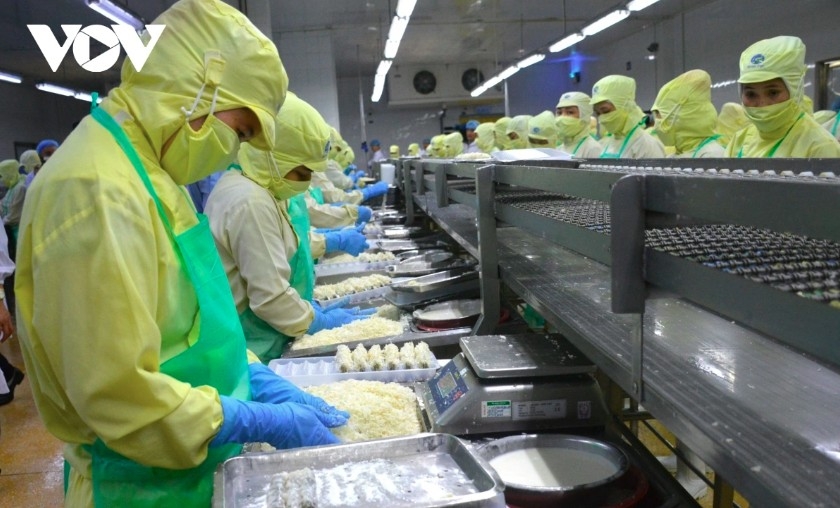 Vietnamese seafood exports may hold at US$10 billion if US lifts tariffs after July 9