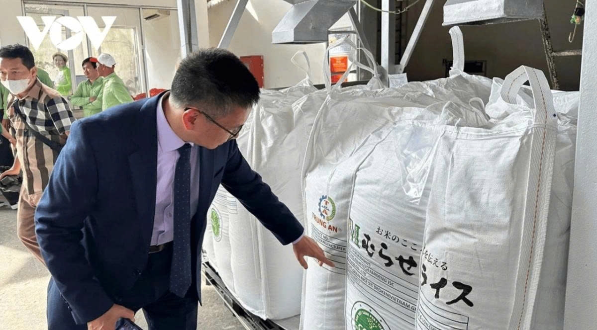 The export of the first batch of low-emission rice to Japan on June 5 signals Vietnam’s growing ability to compete in global markets by meeting international standards for sustainable agriculture