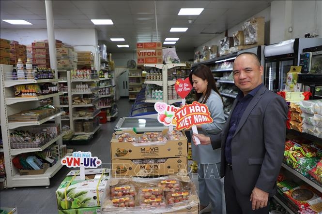 The Vietnamese Trade Office in the UK and TT Meridian Company jointly organise Vietnamese Lychee Week in London from June 17 - 24. (Photo: VNA)