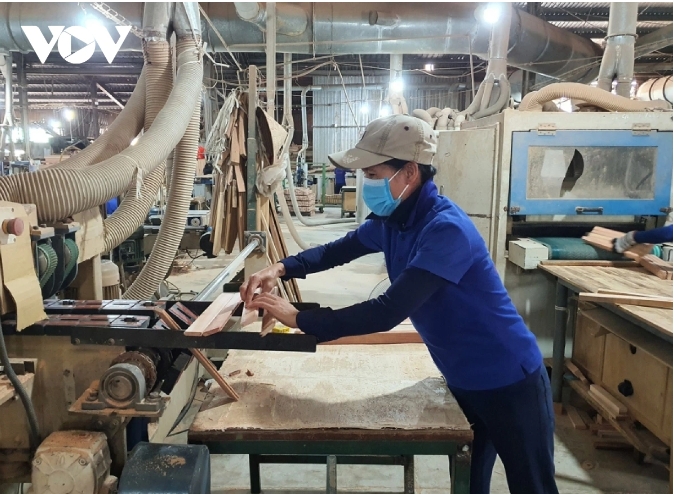 Sharp rise in Vietnam’s wood exports to Spain in first five months of 2025