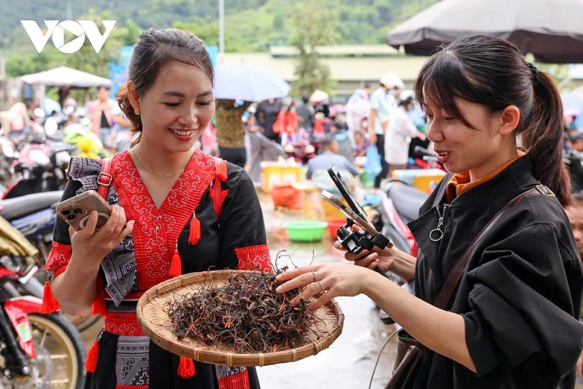 Quick order confirmations, home deliveries, and cashless payments have become a new yet familiar business model for ethnic communities in Lai Chau’s highlands.