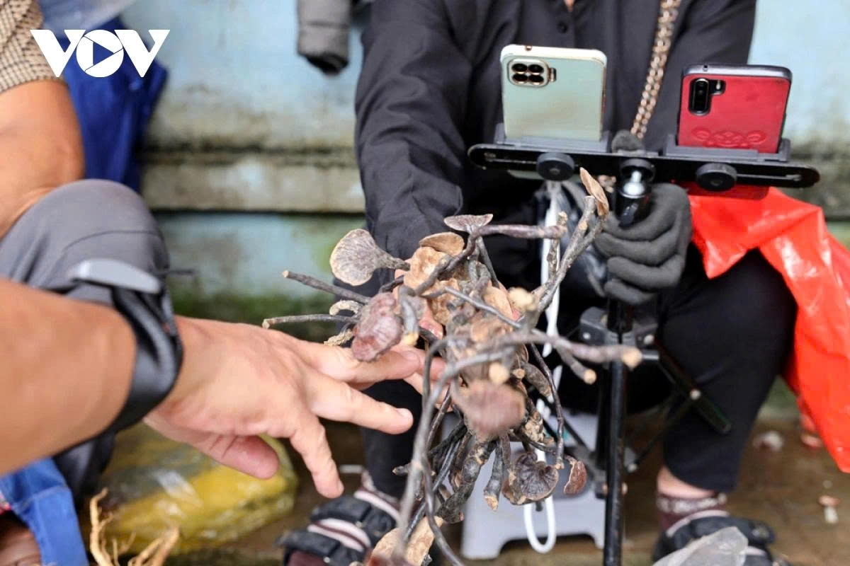 Digital technology is genuinely transforming the economic and social life of people in the remote villages of Lai Chau.