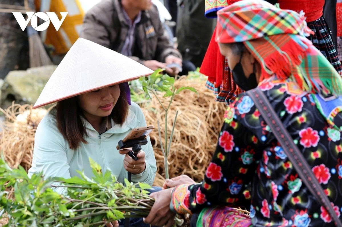 Livestreaming not only boosts sales but also serves as a “bridge” connecting the culture and image of highland life to people across the country.
