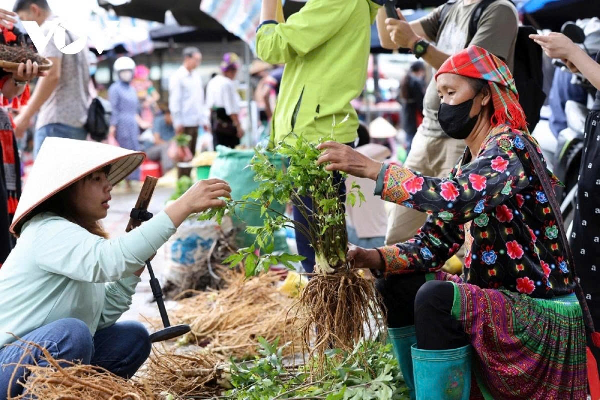 The most commonly promoted items this season are fresh medicinal herbs such as đpseudoginseng, angelica, and cardamom, and ginseng.