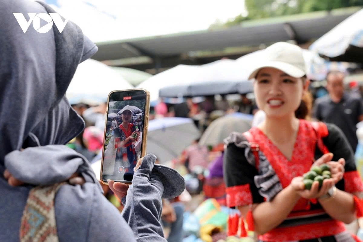 In addition, dried local fruits such as macadamia nuts, black cardamom, and wild apple are also introduced to domestic consumers.