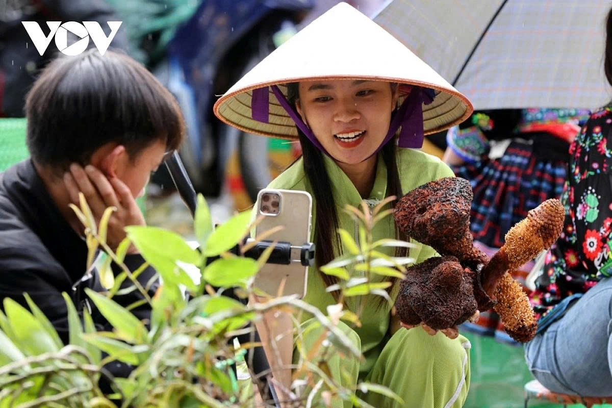 Online interaction builds trust and accelerates the buying and selling process, benefiting both sellers and buyers.