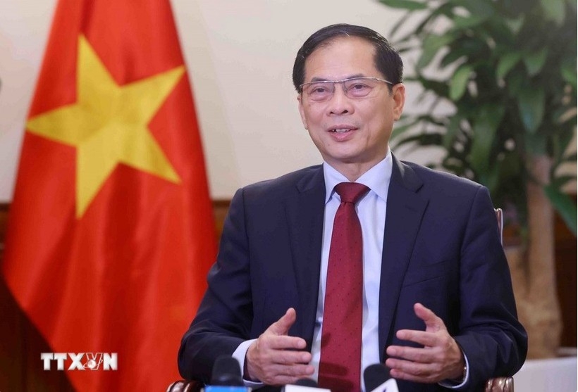 Deputy Prime Minister and Minister of Foreign Affairs Bui Thanh Son (Photo: VNA)