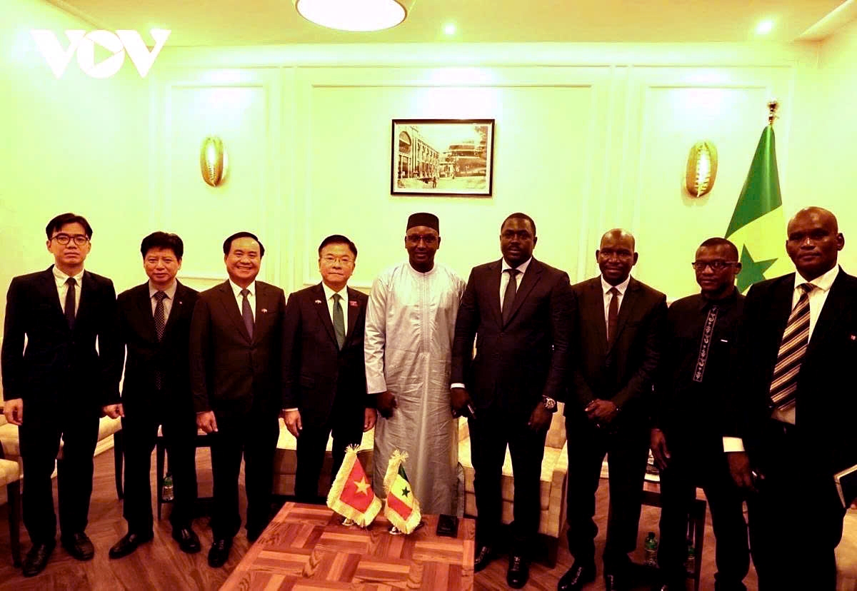 Vietnam's Deputy Prime Minister Le Thanh Long (fourth from left), Senegal’s Minister of Hydraulics and Sanitation Cheikh Tidiane Dieye (fifth from right) and other officials of both countries during their meeting in Dakar on July 22