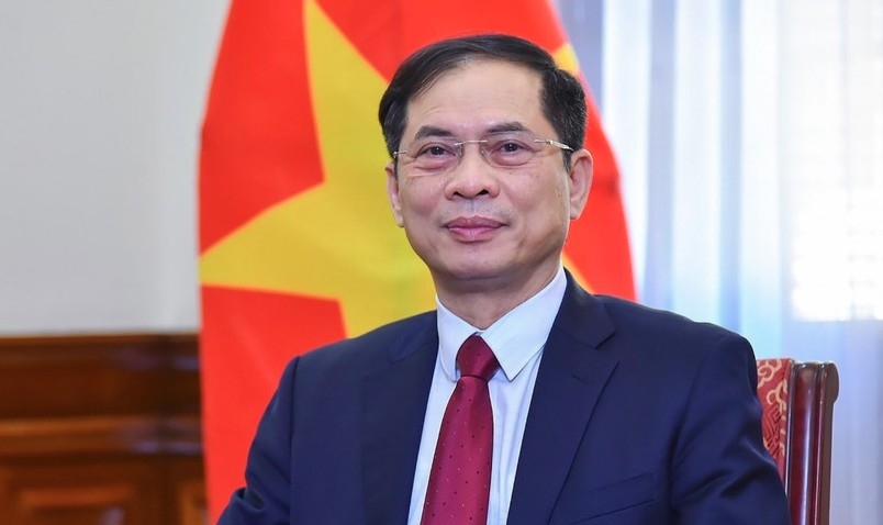 Deputy PM and Minister of Foreign Affairs Bui Thanh Son. (Photo: VNA)