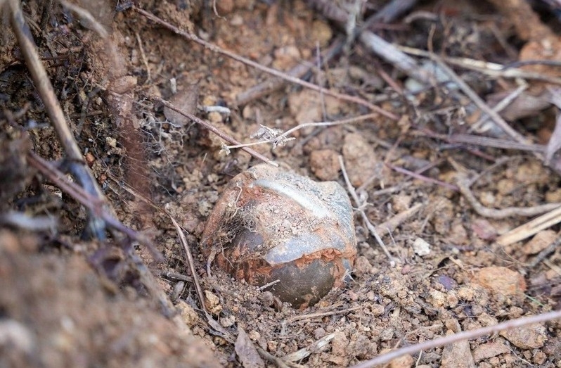 Quang Tri neutralises dangerous cluster bombs near homes of local residents. (Photo: VNA)