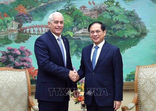 Deputy Prime Minister and Minister of Foreign Affairs Bui Thanh Son (R) receives Cuba's First Deputy Minister of Foreign Affairs Gerardo Penalver Portal in Hanoi on July 23. (Photo: VNA)