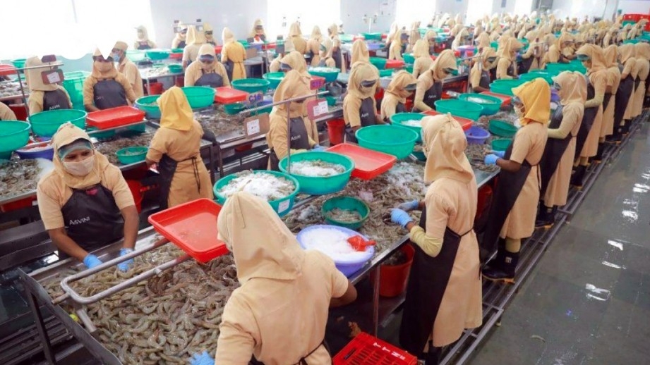Seafood is one of Vietnam’s key export sectors to the EFTA market