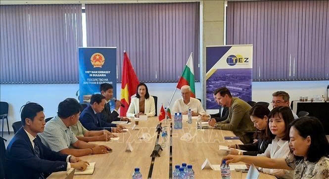 An overview of the Vietnam – Bulgaria business networking event (Photo: VNA)