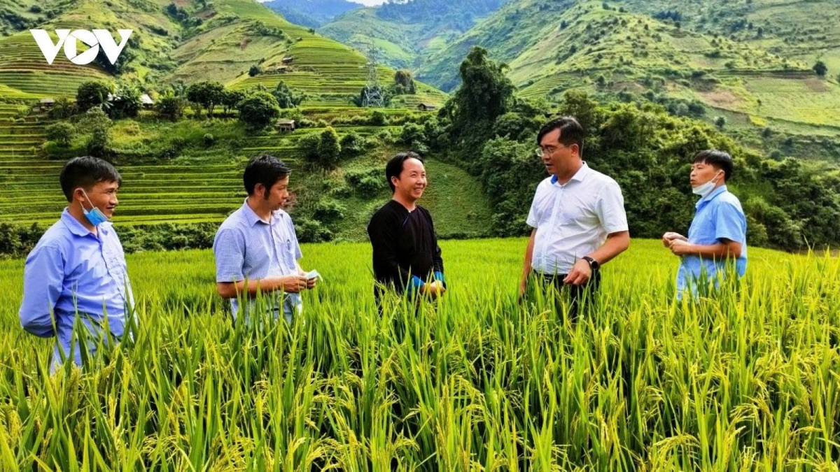 The circular agriculture is the key to realising Vietnam's strategy for green growth, environmental protection, and sustainable development