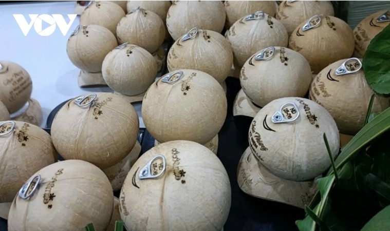 Vietnam ranks among world’s top 5 coconut exporters: What must be done to maintain its position?