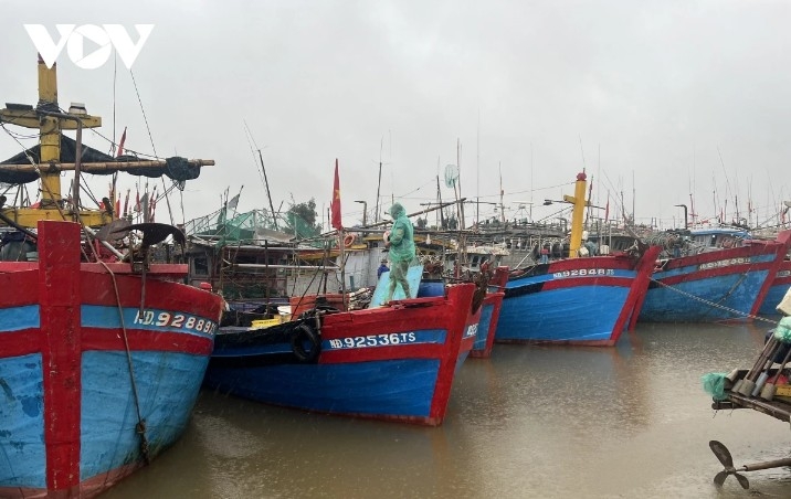 Fishing boats anchored for storm shelter