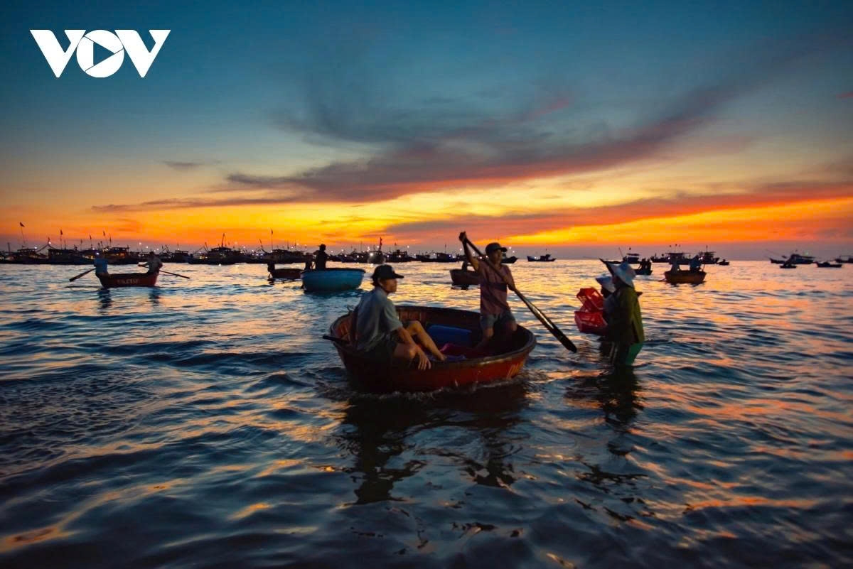 At this time, fishing boats dock and fishermen unload the night’s catch by coracle under the soft glow of lanterns and headlamps.