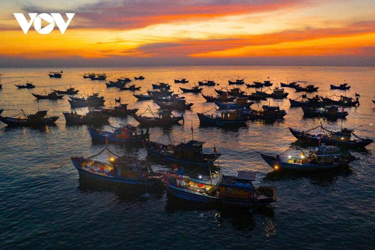 Every day hundreds of fishing vessels dock here to sell fishes to small traders in the morning.