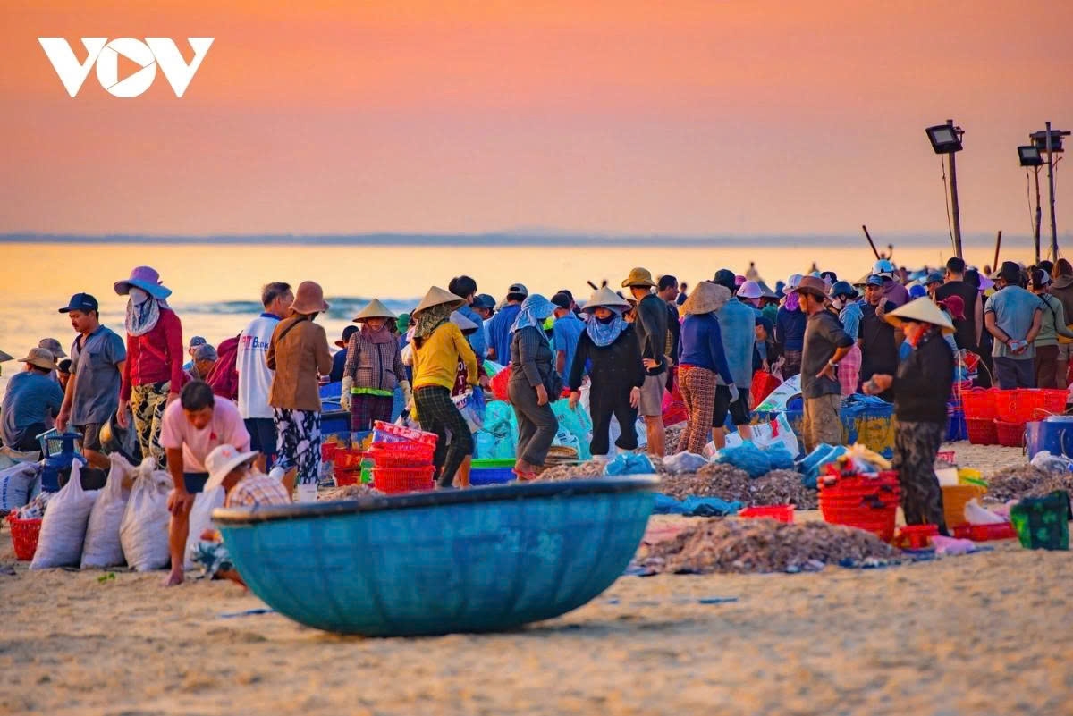 Tam Tien is one of the largest seafood hubs in former Quang Nam province, now Da Nang city, offering a rich variety of freshly caught fish, squid, shrimp, crab, and more.