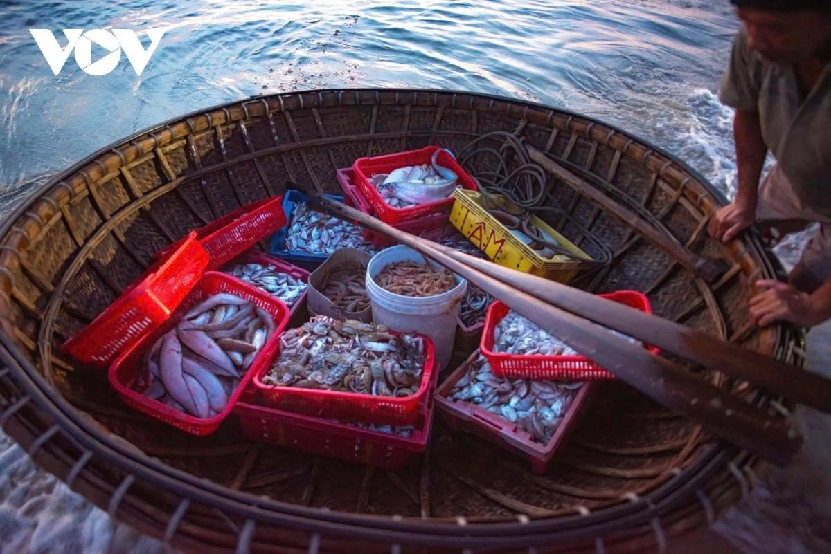 Fresh seafood is among the interesting things attracting both domestic and international tourists.
