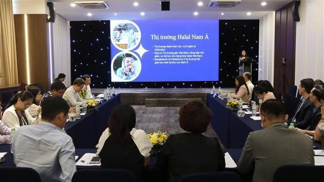 The seminar is co-hosted by the the Ho Chi Minh City Centre of International Integration Support (CIIS) under the Ho Chi Minh City Institute for Development Studies and the Department of Overseas Markets under the Ministry of Industry and Trade (MoIT). (Photo: VNA)