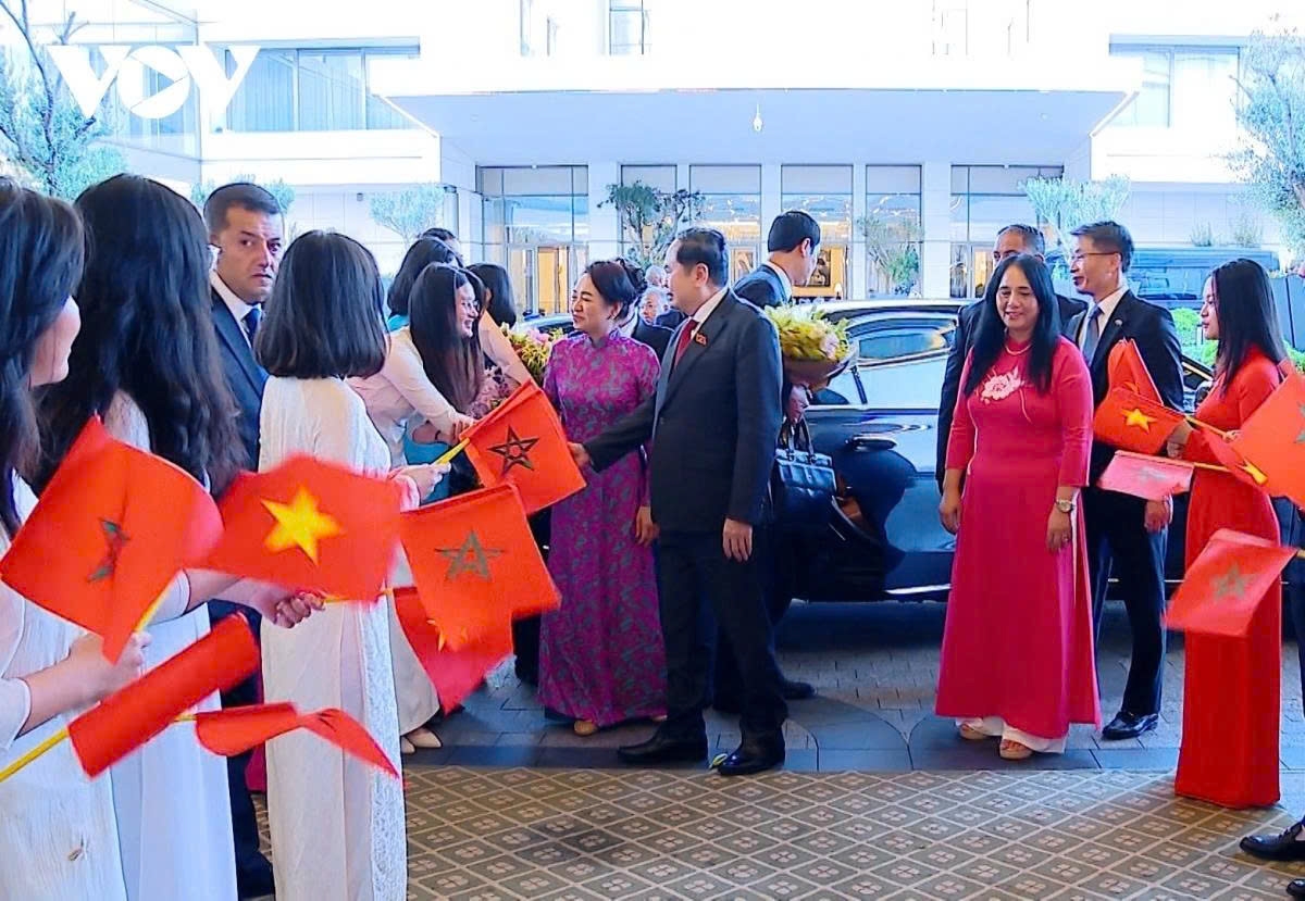 Officials and staff of the Vietnamese Embassy and representatives of the Vietnamese community in Morocco welcome National Assembly Chairman Tran Thanh Man and his entourage at the airport