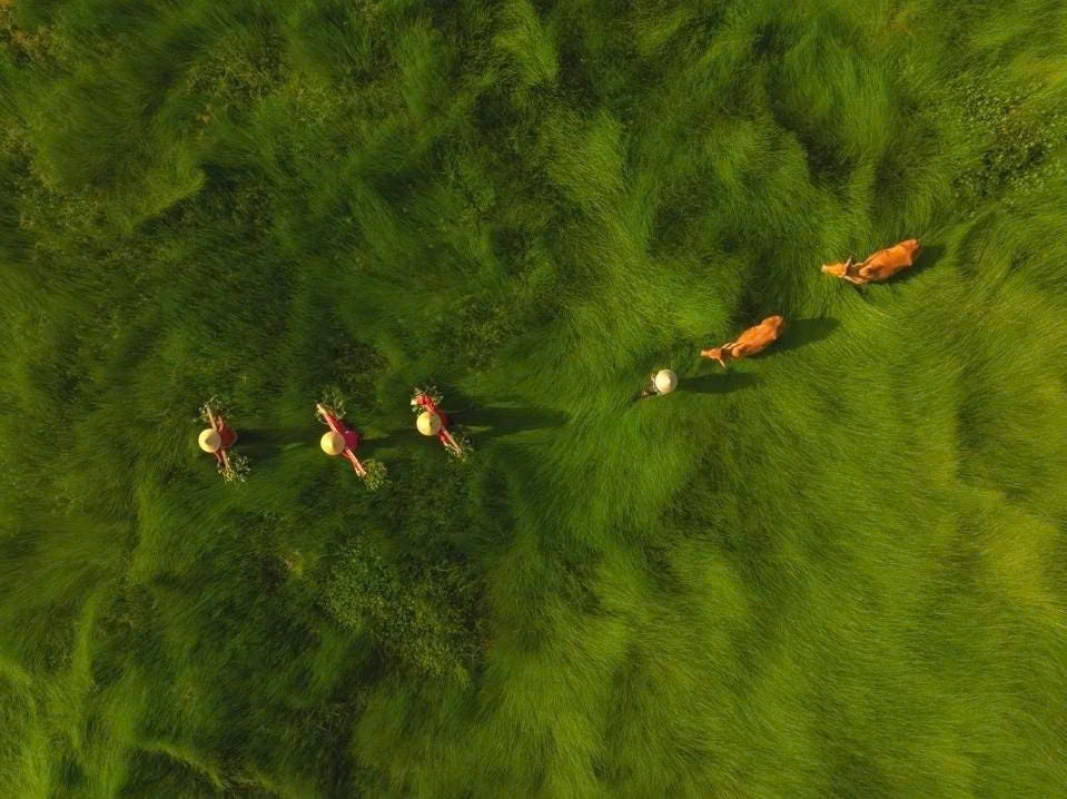 The award-winning aerial photo (Photo: Dipanjan Pal)