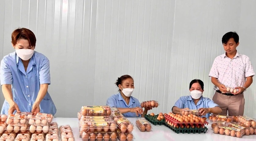 Private enterprises urged to seize golden opportunity for breakthroughs