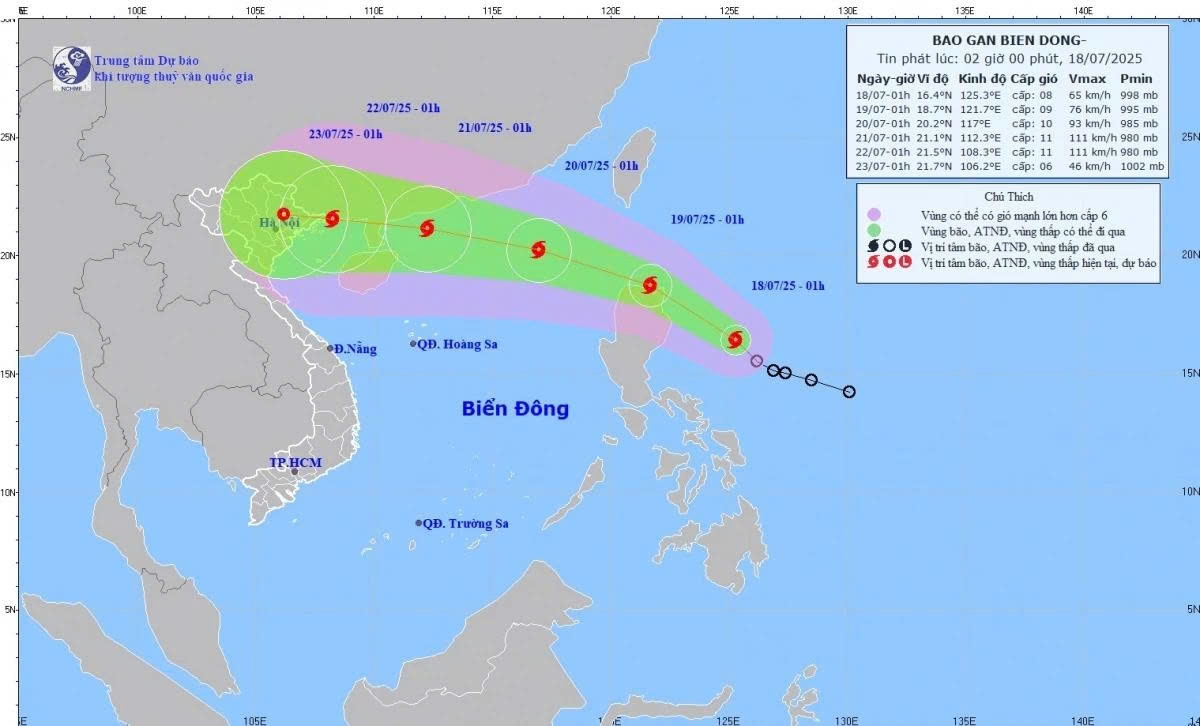 A tropical depression over the eastern waters of the Philippines has strengthened into Storm Wipha. (VNA/VNS Photo)