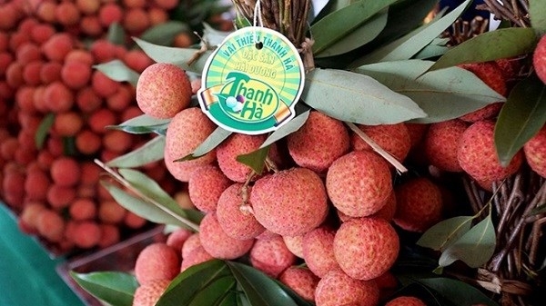 Lychees from Hai Phong Province (VNA/VNS Photo)