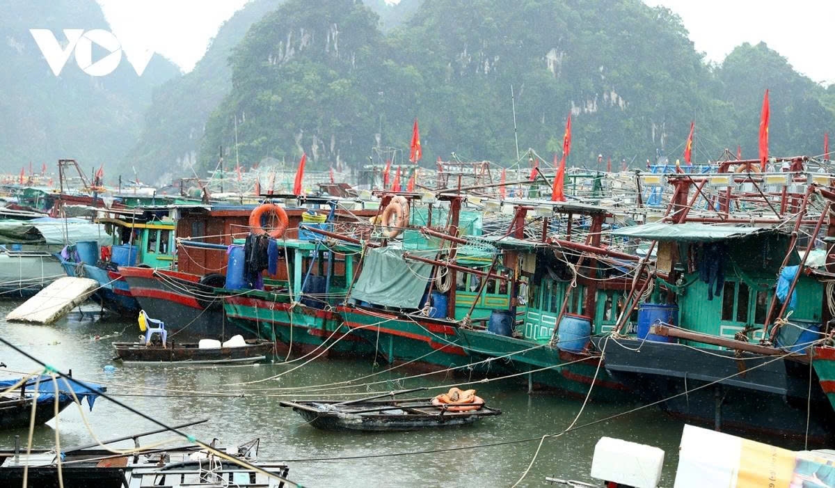 By 9 a.m. on July 21, at Cai Xa Cong anchorage area in former Ha Long city, there are about 200 vessels to come to take shelter. Quang Ninh has a total of more than 4,200 vessels, with 275 returning to safe shelters.