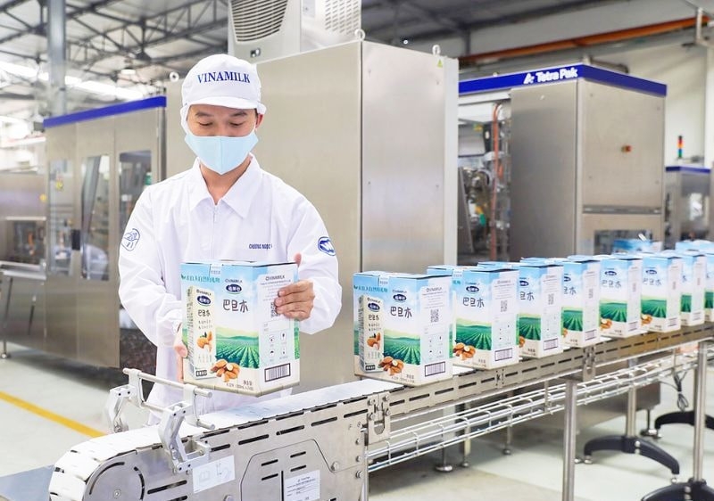 Vinamilk ranks sixth among the world’s top ten most valuable dairy brands and second in global brand strength. (Photo: Hanoimoi.vn)