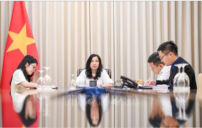 Deputy Foreign Minister Le Thi Thu Hang during the phone talks (Photo: VNA)