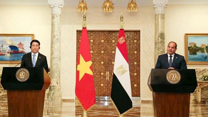 Egyptian President Abdel Fattah El-Sisi (R) and his visiting Vietnamese counterpart Luong Cuong announce the upgrade of Vietnam - Egypt to Comprehensive Partnership during a press briefing after their talks in Cairo on August 5