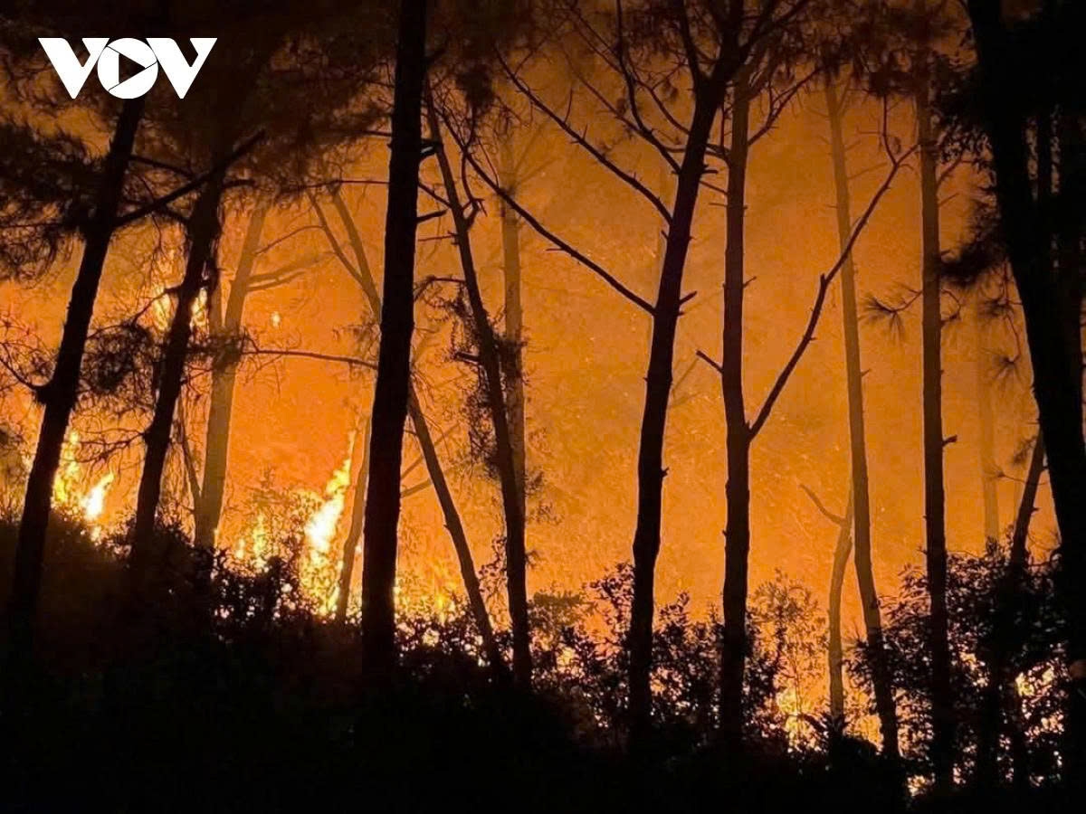 Over 400 people have been mobilised to contain a large forest fire in Nghe An province