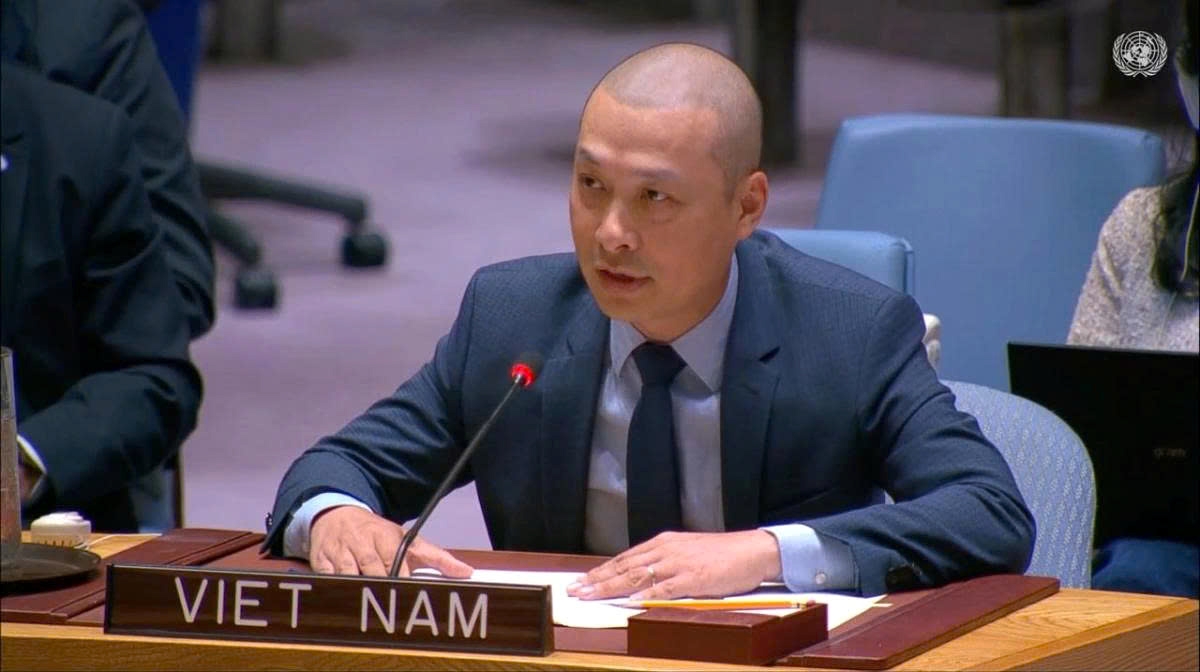 Minister Counsellor Nguyen Hoang Nguyen, Deputy Permanent Representative of Vietnam to the United Nations