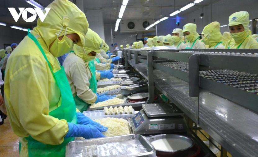 Vietnamese shrimp exports set to reach US$3.6-3.8 billion in 2025