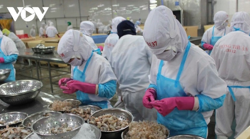 Vietnamese businesses told to devise strategies for home market growth