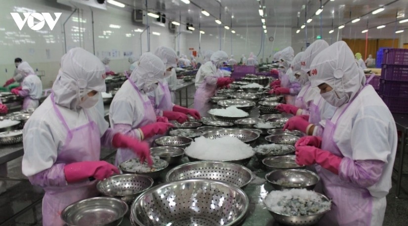 Vietnam's seafood exports to India see strong growth in the first seven months of the year