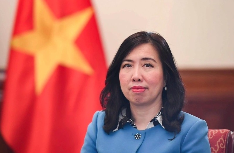 Deputy Minister of Foreign Affairs Le Thi Thu Hang (Photo: VNA)