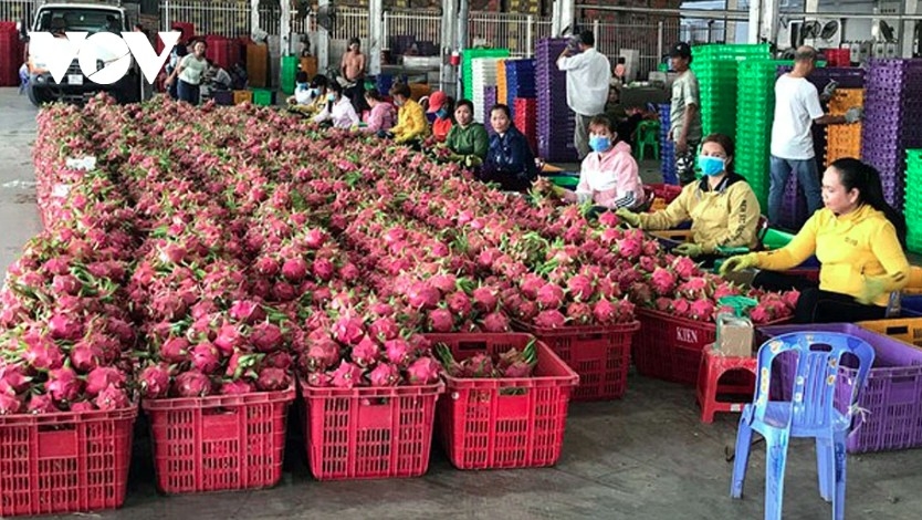 Agricultural exports have to abide by new export standards set by the EU